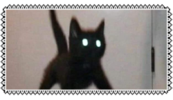 scared black cat, from altalenae's site
